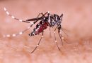 Atibaia chega a 9 mil casos de Dengue e 5 óbitos pela doença