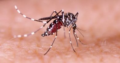 Atibaia já contabiliza 3.723 casos de Dengue; não há registro de morte