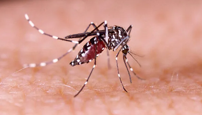 Atibaia já contabiliza 3.723 casos de Dengue; não há registro de morte