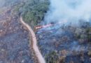 Monitoramento mostra que 99% dos incêndios no país são por ação humana