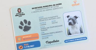 Animais domésticos terão direito a RG com cadastro nacional