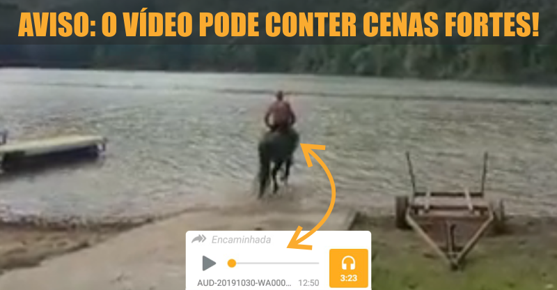 video do cara matando cavalo com faca