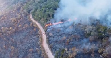 Monitoramento mostra que 99% dos incêndios no país são por ação humana