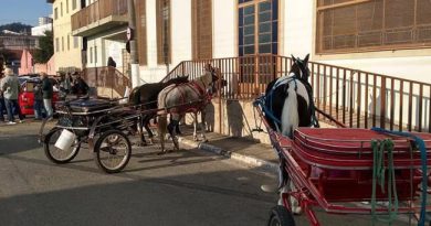 Tradicional “Romaria a Cavalo de Atibaia a Pirapora de Bom Jesus” completa 60 anos