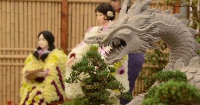 Está chegando a 44ª edição da Festa de Flores e Morangos de Atibaia