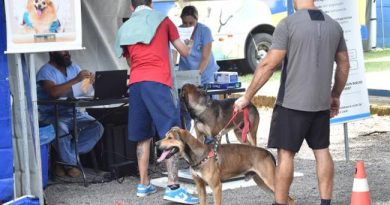 Prefeitura abre inscrições para mutirão de castração de cães e gatos no dia 10 de novembro