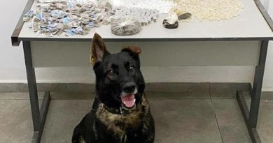 Equipes do Canil e ROMU, da GCM, apreendem grande quantidade de drogas em área de mata no Caetetuba