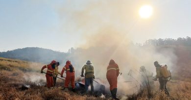 Plano de Manejo Integrado do Fogo traz resultados significativos para Piracaia