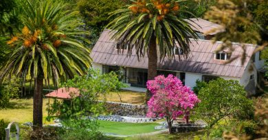 Cidades brasileiras discutem restrições à locação por aplicativos diante de impacto no mercado imobiliário Cidades brasileiras discutem restrições à locação por aplicativos diante de impacto no mercado imobiliário