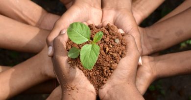 Atibaia promove Semana do Meio Ambiente com foco em crise climática e recursos hídricos