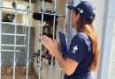 Cuidado: Prefeitura de Atibaia orienta população sobre identificação em visitas domiciliares da Saúde