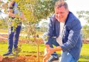 Rede Adventista de Educação promove plantio de árvores nativas antes da inauguração em Atibaia