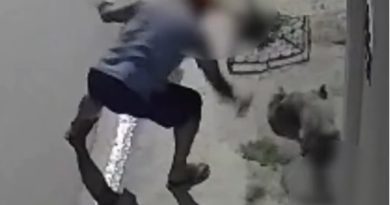 Homem é preso em Atibaia após ser flagrado agredindo animal em via pública