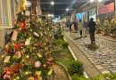 O Natal está chegando: IDEA vai iluminar novamente o Centro histórico de Atibaia com as árvores de Natal