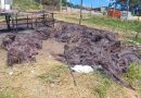 Polícia Militar apreende fios de cobre queimados em terreno de Atibaia